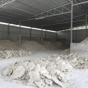 Padi Mining Co.,LTD