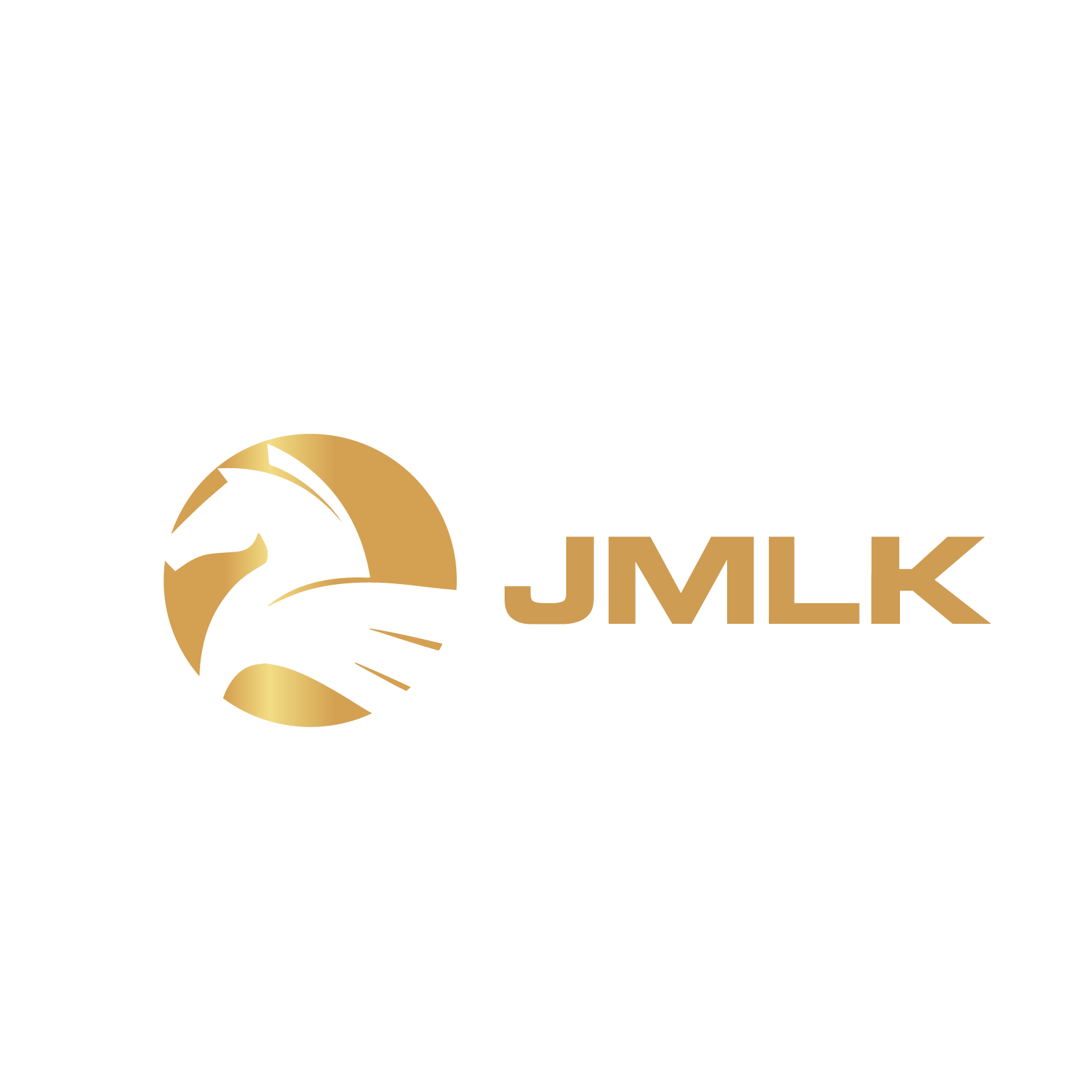 ZHAOQING JINMA LEADING INTELLIGENT TECHNOLOGY CO.,LTD